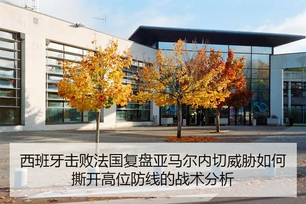 西班牙击败法国复盘亚马尔内切威胁如何撕开高位防线的战术分析